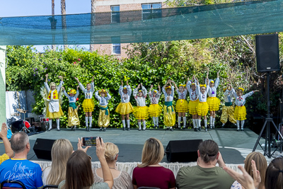 Annual Ukrainian Festival in Los Angeles. 2023