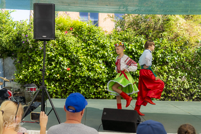 Annual Ukrainian Festival in Los Angeles. 2023