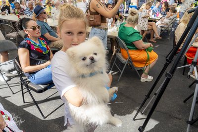 Annual Ukrainian Festival in Los Angeles. 2023