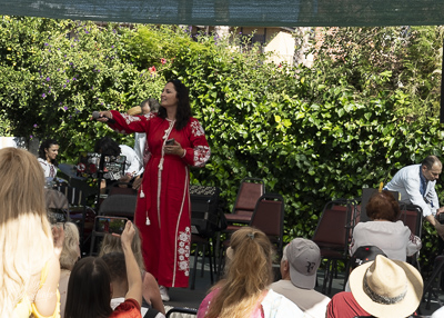 Annual Ukrainian Festival in Los Angeles. 2023