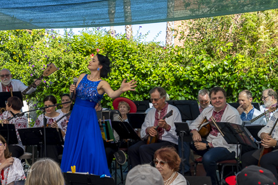 Annual Ukrainian Festival in Los Angeles. 2023