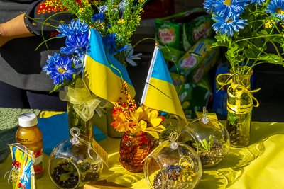 Annual Ukrainian Festival in Los Angeles. 2023