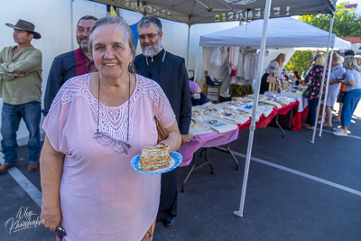 Annual Ukrainian Festival in Los Angeles. 2023