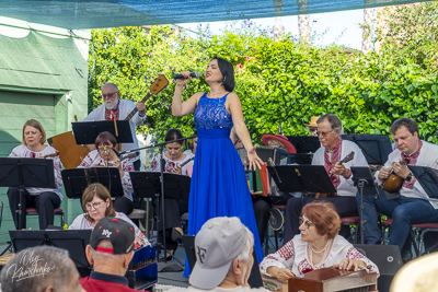 Annual Ukrainian Festival in Los Angeles. 2023