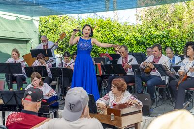 Annual Ukrainian Festival in Los Angeles. 2023