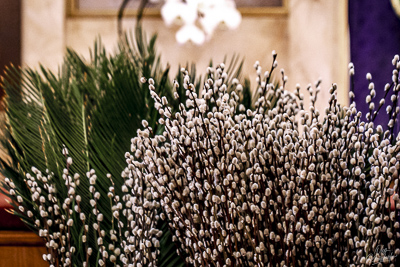 PALM SUNDAY. † THE ENTRY OF THE LORD INTO JERUSALEM.