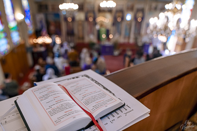 PALM SUNDAY. † THE ENTRY OF THE LORD INTO JERUSALEM.