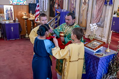 PALM SUNDAY. † THE ENTRY OF THE LORD INTO JERUSALEM.