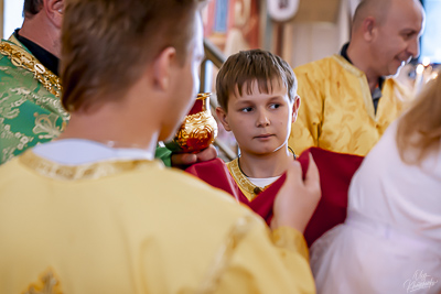 PALM SUNDAY. † THE ENTRY OF THE LORD INTO JERUSALEM.