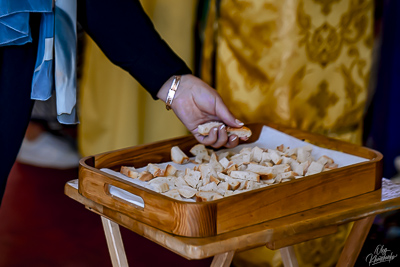 PALM SUNDAY. † THE ENTRY OF THE LORD INTO JERUSALEM.