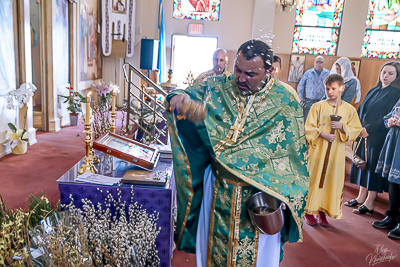 PALM SUNDAY. † THE ENTRY OF THE LORD INTO JERUSALEM.