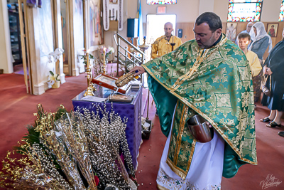 PALM SUNDAY. † THE ENTRY OF THE LORD INTO JERUSALEM.