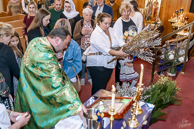 PALM SUNDAY. † THE ENTRY OF THE LORD INTO JERUSALEM.